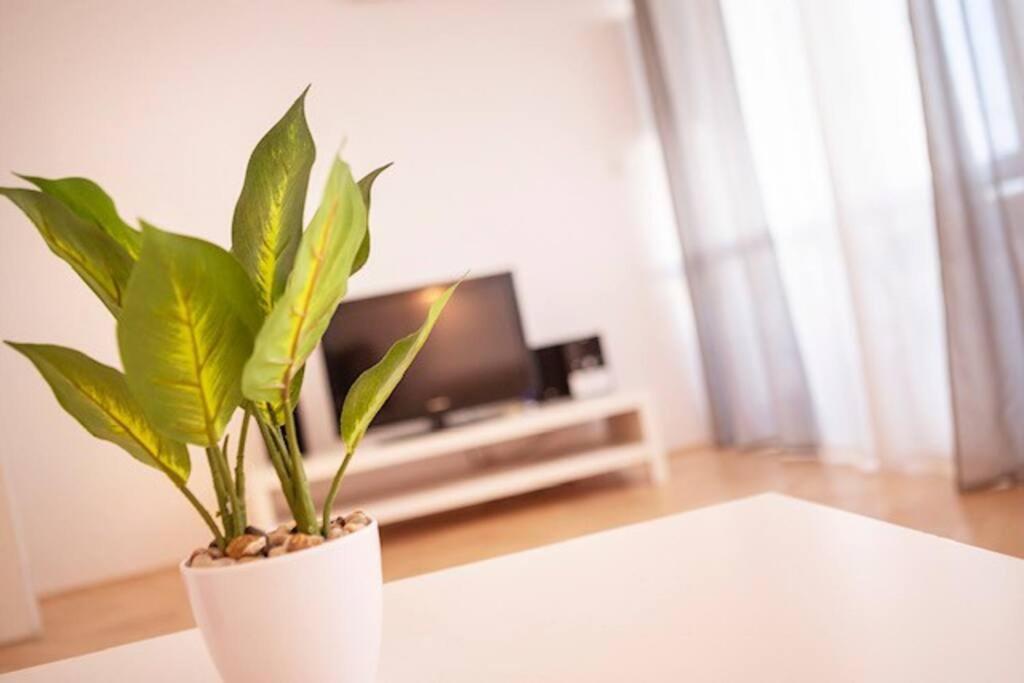 Sea City View W/ 2Bd 1Bt Free Street Parking Rijeka Luaran gambar